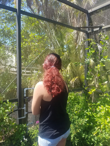 Non-Profit Organization «Sanibel-Captiva Conservation Foundation», reviews and photos, 3333 Sanibel Captiva Rd, Sanibel, FL 33957, USA