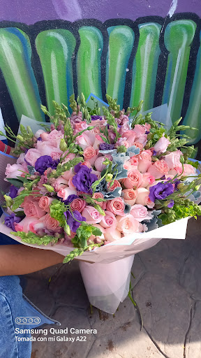 Florería pimponcito – Cuautepec de Hinojosa