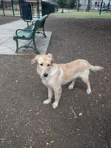 Park «Madison Square Park», reviews and photos, 400 Lexington Ave, San Antonio, TX 78215, USA