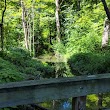 Michaud-Sinninger Woods Nature Preserve