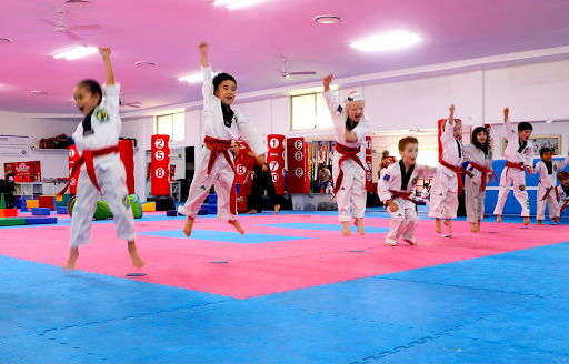 Australian Martial Arts Academy Auburn