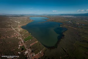 Lake Lysimachia image