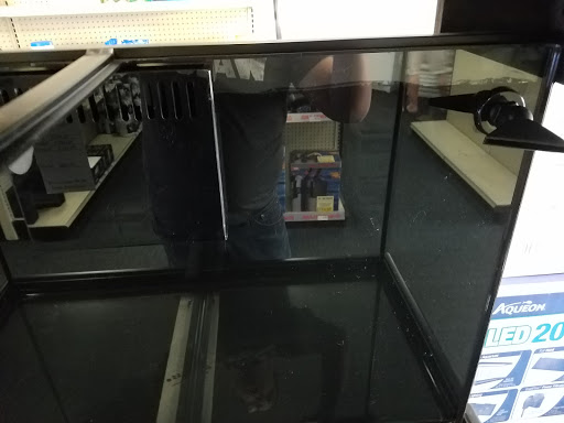 Pet Store «The Aquarium & Fish Store», reviews and photos, 710 W Lumsden Rd, Brandon, FL 33511, USA