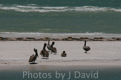 Boat Tour Agency «Spongeorama Cruise lines», reviews and photos, 510 Dodecanese Blvd, Tarpon Springs, FL 34689, USA