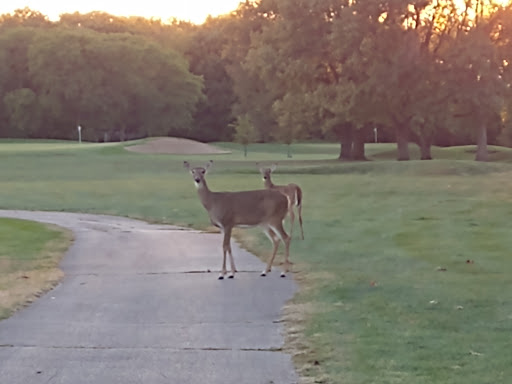 Golf Course «Joe Louis the Champ Golf Course», reviews and photos, 13100 S Halsted St, Riverdale, IL 60827, USA