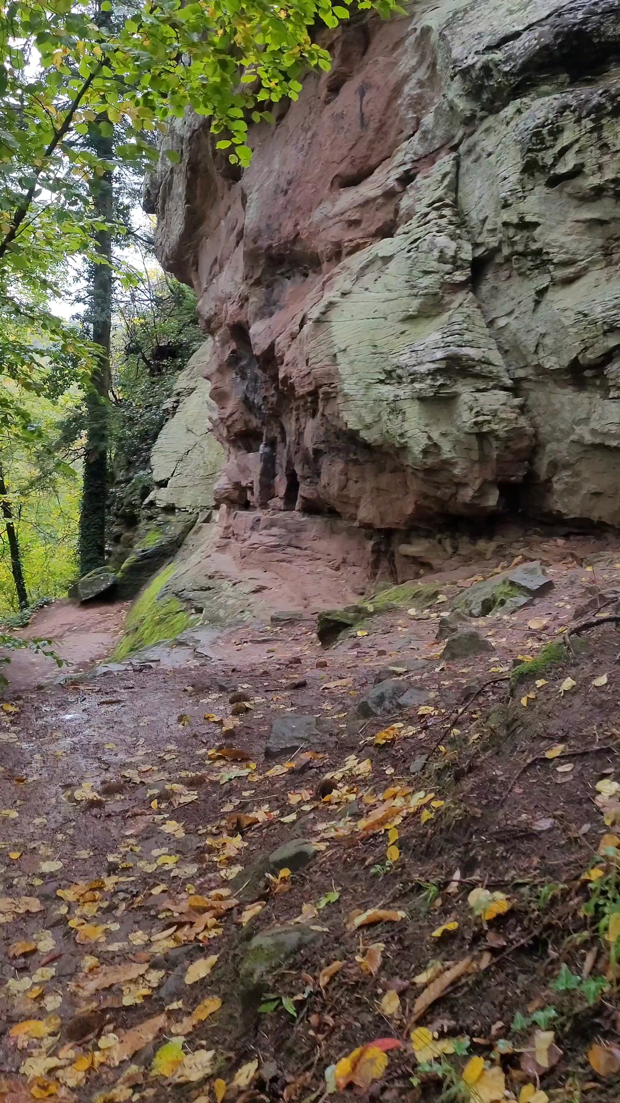 Photo n° 4 de l'avis de Verena.a fait le 31/10/2023 à 09:18