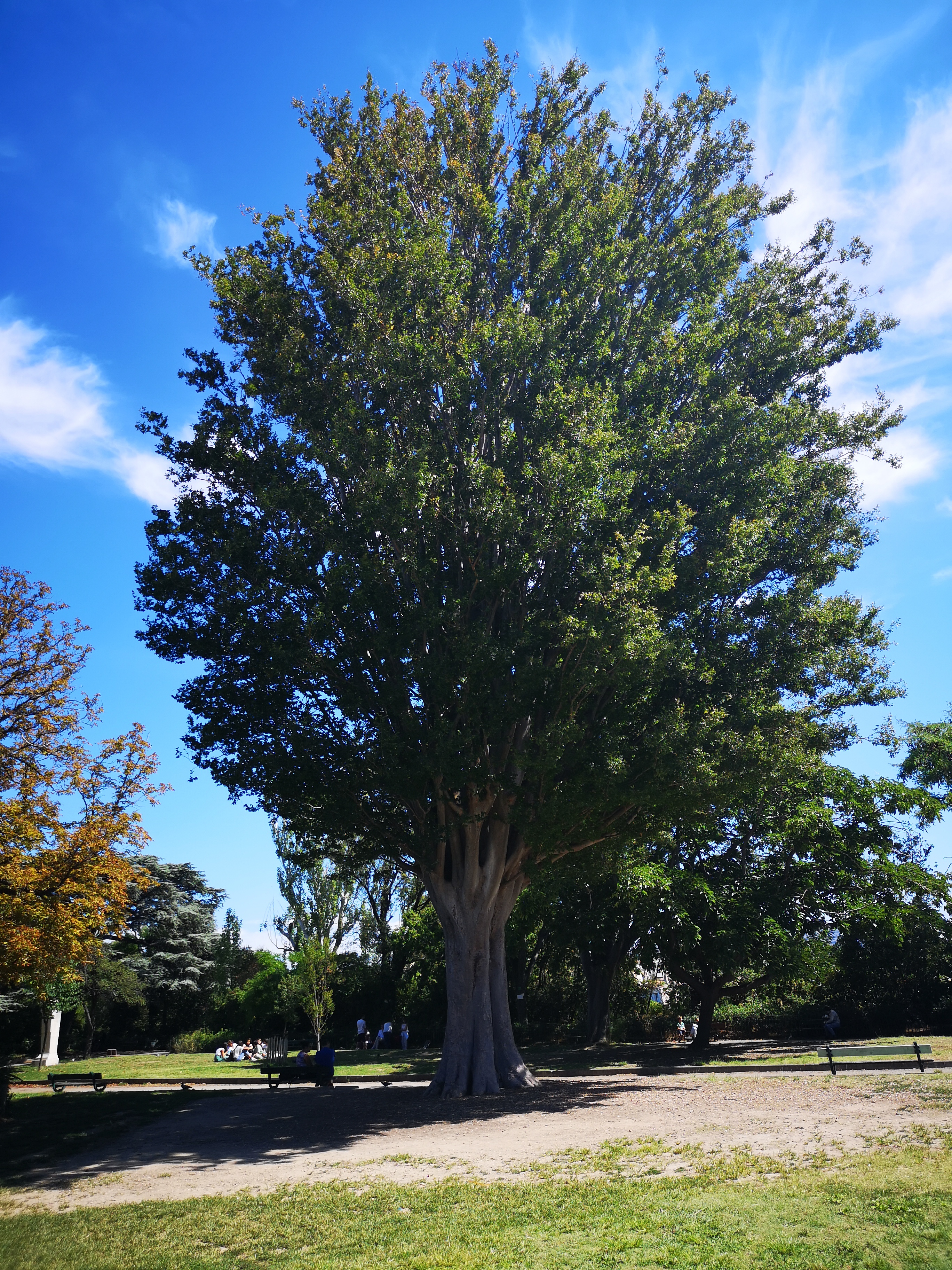 Photo n° 5 de l'avis de Adrien.. fait le 02/09/2020 à 18:00