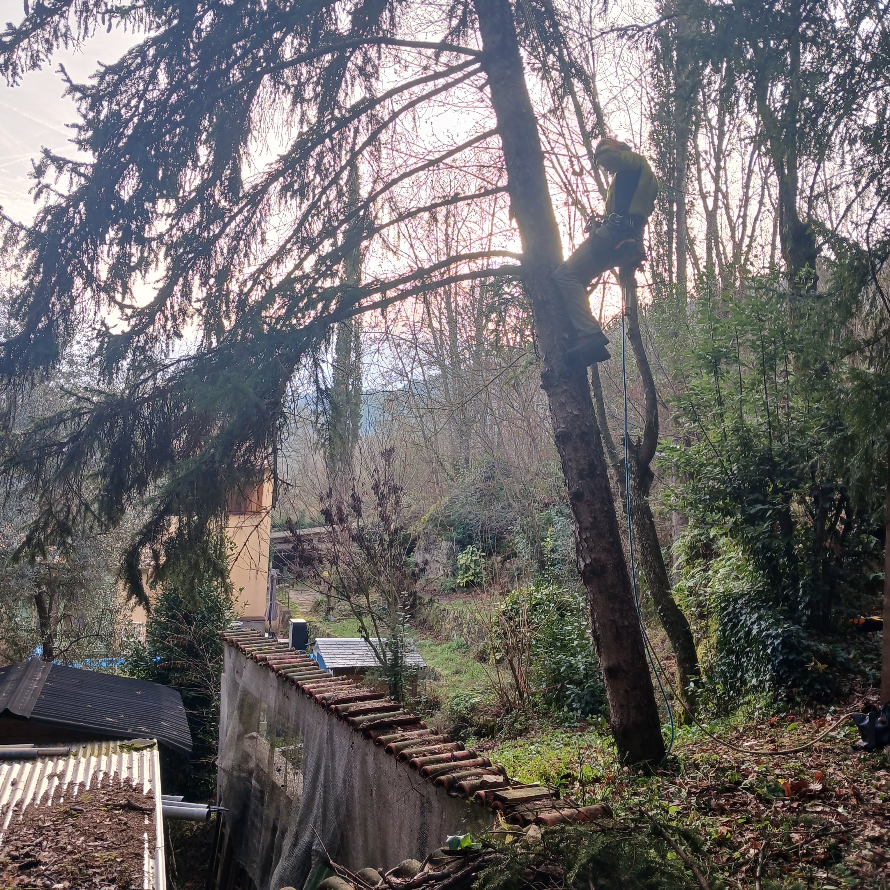 Photo n° 1 de l'avis de xav.s fait le 23/02/2024 à 07:48