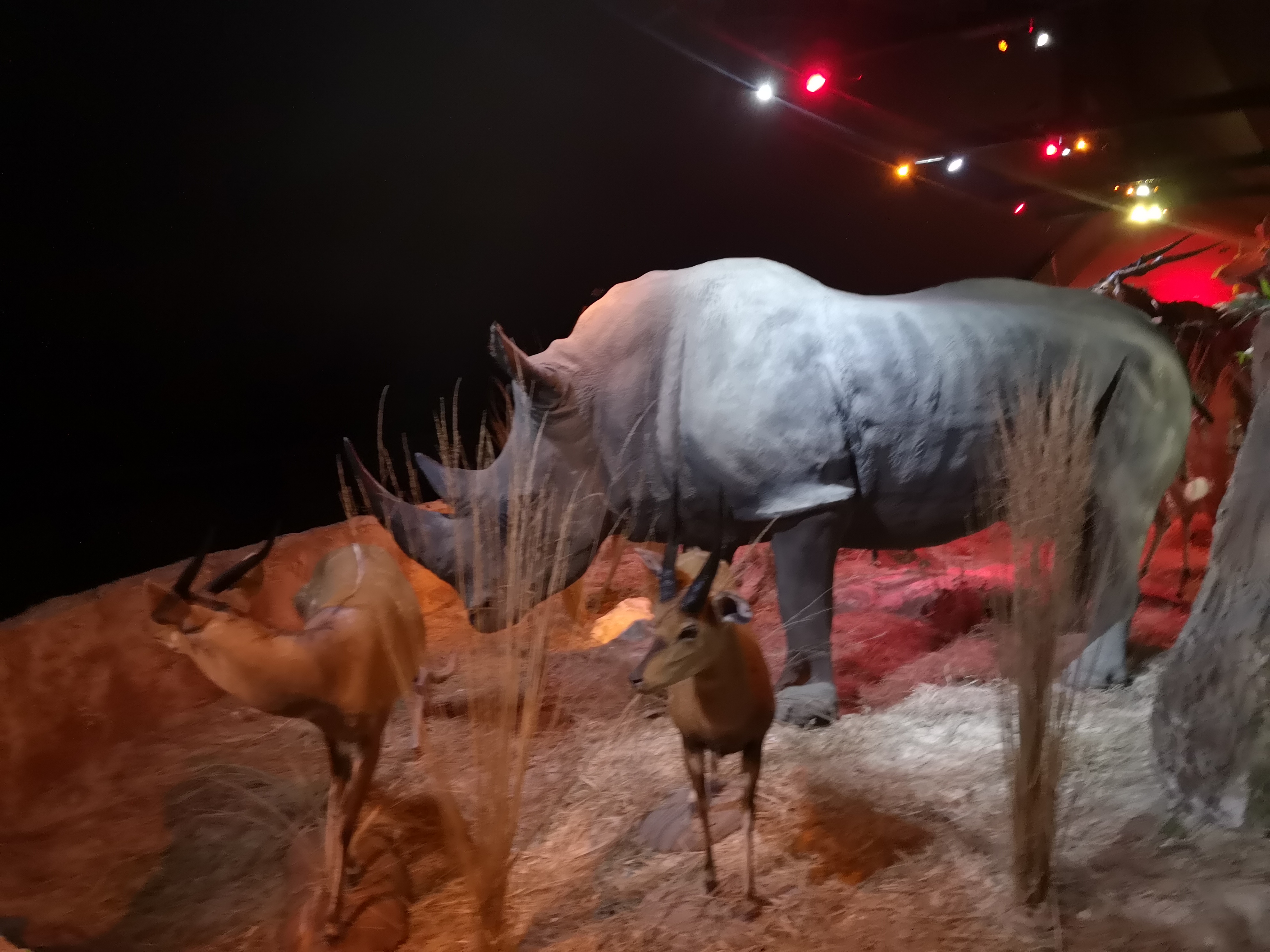 Photo n° 29 de l'avis de Xxx.x fait le 14/08/2020 à 21:01