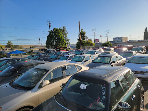 Auto Auction «BLOK Charity Auto Clearance», reviews and photos