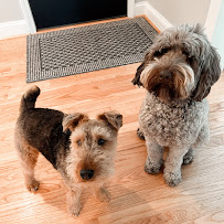 The Refined Wolf - Photo 3 - Car repair in , Virginia Beach