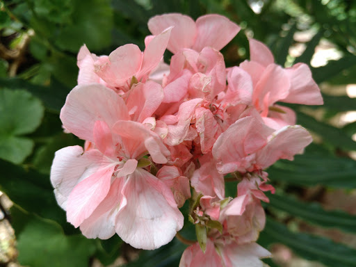 Museum «Hammond Castle Museum», reviews and photos, 80 Hesperus Ave, Gloucester, MA 01930, USA