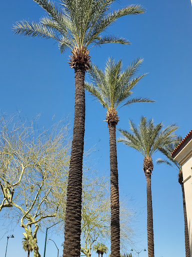 Tourist Attraction «Arizona Museum of Natural History», reviews and photos, 53 N Macdonald, Mesa, AZ 85201, USA