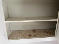 Sam Says Spotless - Photo 5 - Car repair in , Dearborn