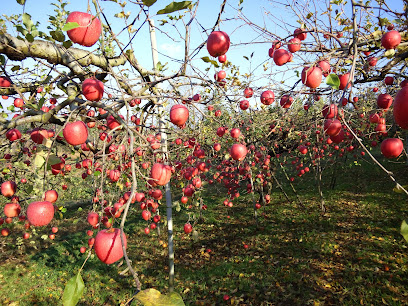 岩手奥州 水沢りんご園 （Apple Works Mizusawa）生産直売