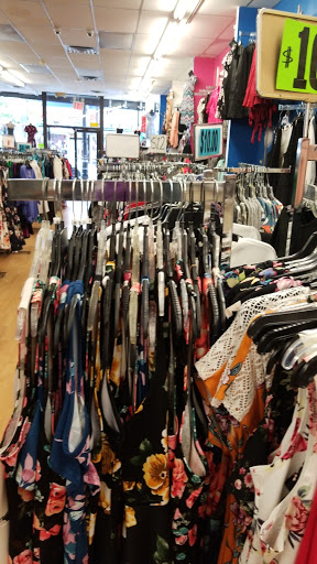 Pet Store «Petland Discounts - Irvington», reviews and photos, 1054 Springfield Ave, Irvington, NJ 07111, USA