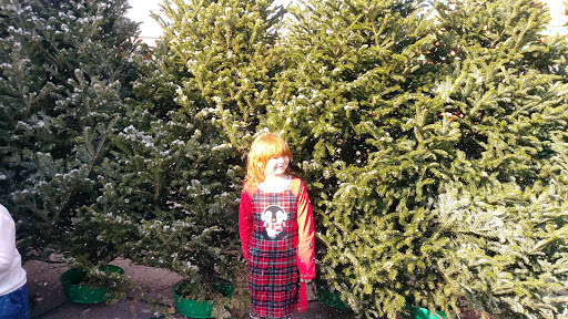 Historical Landmark «Grapevine Vintage Railroad», reviews and photos, 707 S Main St, Grapevine, TX 76051, USA