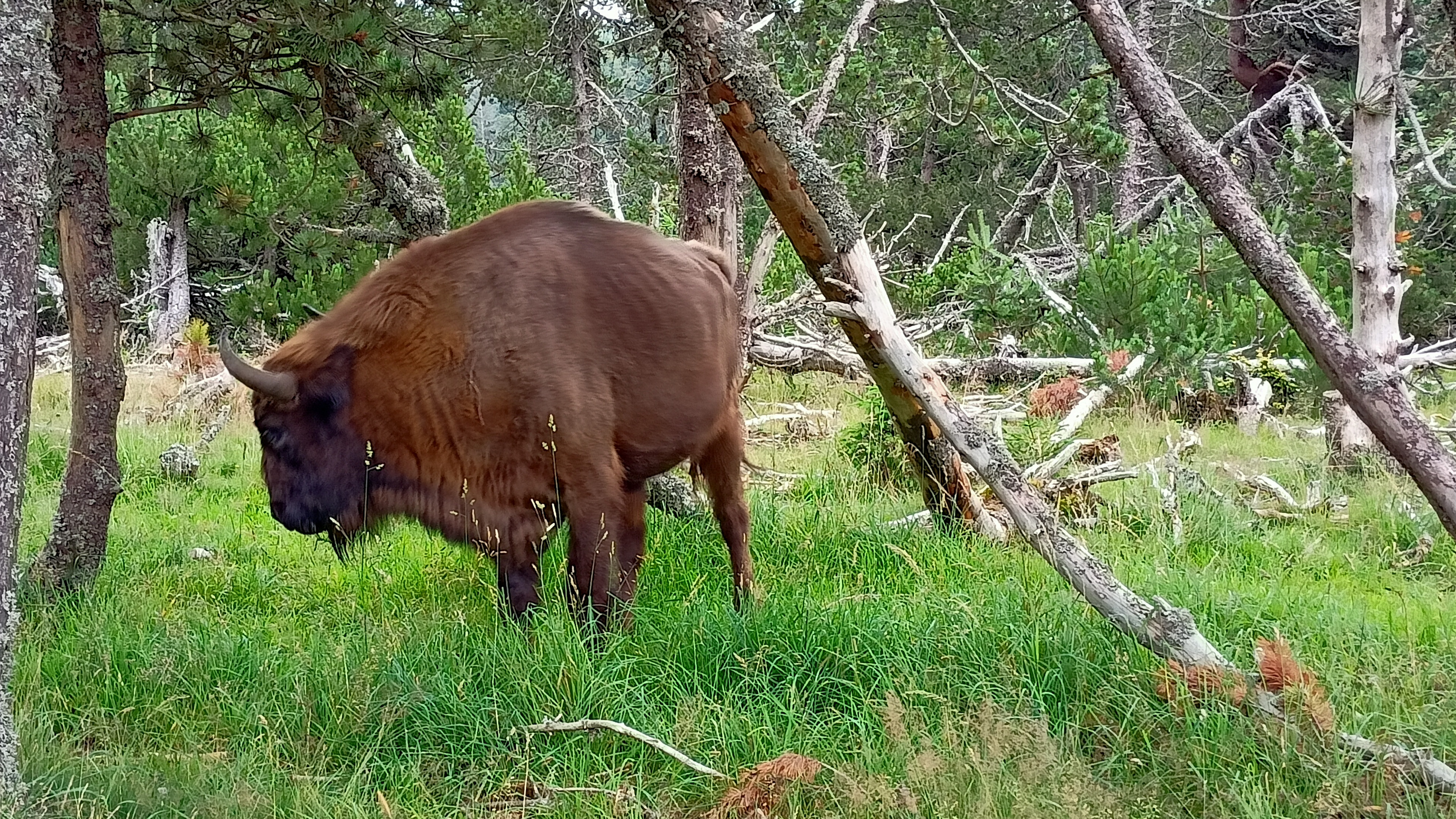 Photo n° 2 de l'avis de Karim.- fait le 02/08/2021 à 13:02