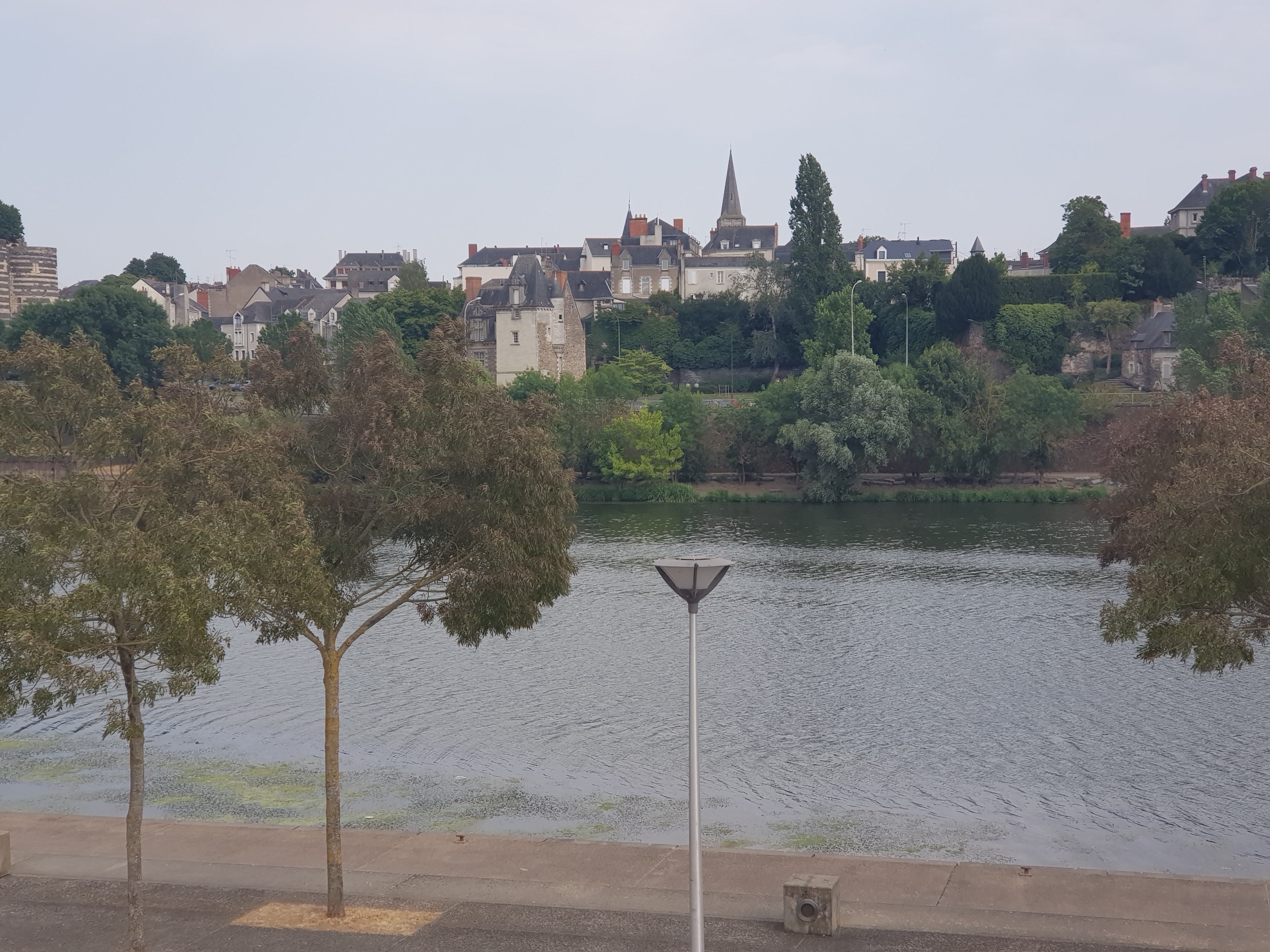 Photo n° 2 de l'avis de Shelah.a fait le 26/07/2019 à 12:55