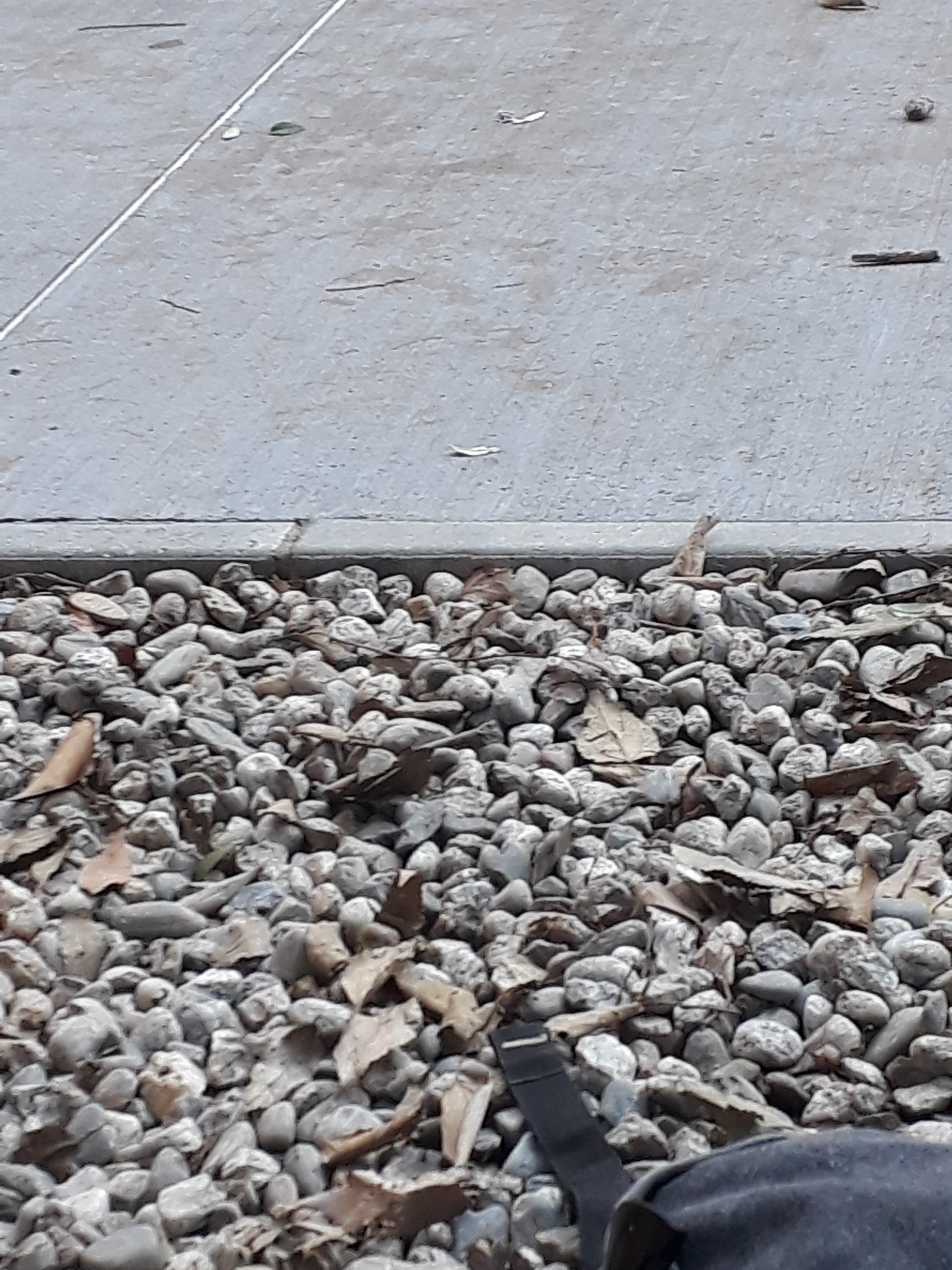 Photo n° 28 de l'avis de William.m fait le 11/12/2018 à 12:09