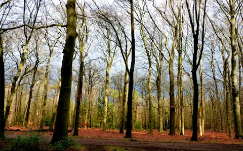 Natuurmonumenten Cronebos image