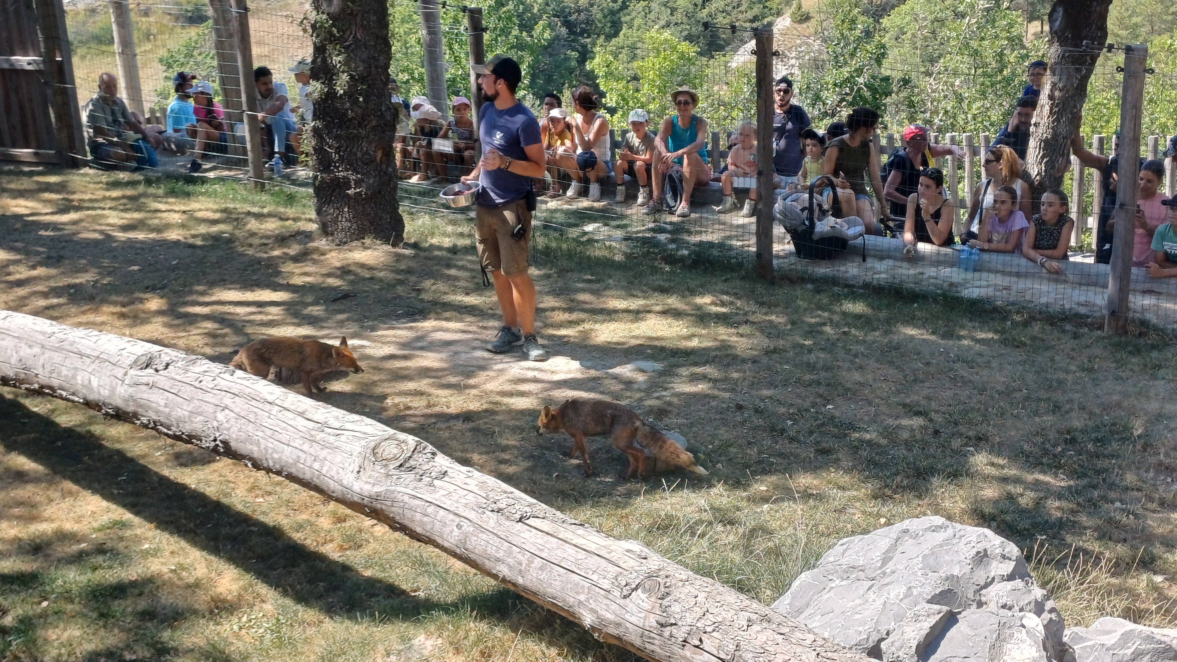 Photo n° 1 de l'avis de bruno.h fait le 22/08/2023 à 17:43