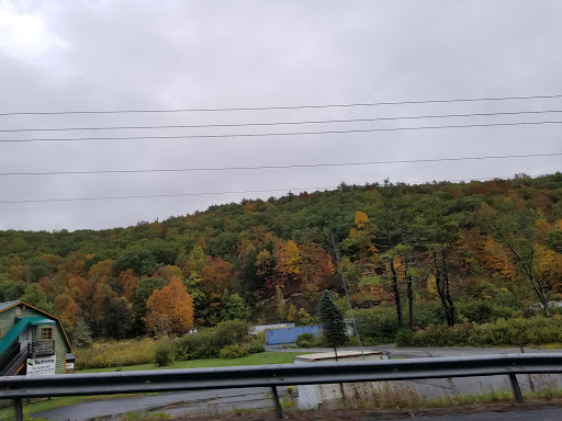 Store «Barnyard», reviews and photos, 462 NY-28, Kingston, NY 12401, USA