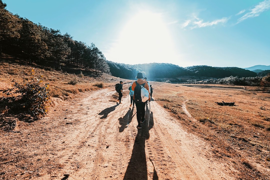 Tổ Ong Adventure