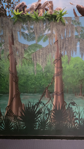 Nature Preserve «Tree Hill Nature Center», reviews and photos, 7152 Lone Star Rd, Jacksonville, FL 32211, USA