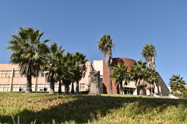 Instituto Piaget de Silves - Universidade