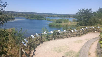 Belvédère des Grands Vernes à Miribel