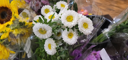 Grocery Store «The Fresh Market», reviews and photos, 5920 Red Bug Lake Rd, Winter Springs, FL 32708, USA