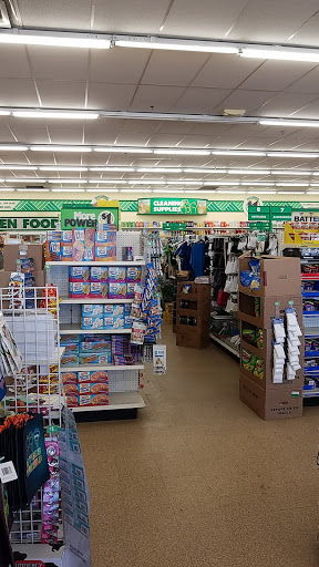 Dollar Store «Dollar Tree», reviews and photos, 2654 Belvidere Rd, Waukegan, IL 60085, USA