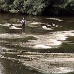 Photo n° 1 de l'avis de Bernadette.u fait le 27/08/2019 à 07:43 pour Sainte Jamme Football à Sainte-Jamme-sur-Sarthe