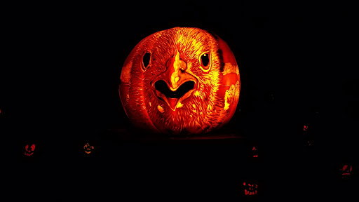 Zoo «Jack-O-Lantern Spectacular», reviews and photos, 1000 Elmwood Ave, Providence, RI 02905, USA