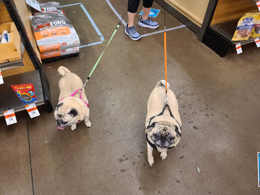 Pet Supply Store «Pet Supplies Plus», reviews and photos, 2600 McFarland Blvd E U, Tuscaloosa, AL 35405, USA