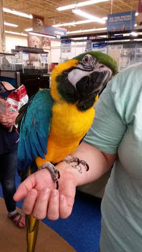 Pet Supply Store «Petco Animal Supplies», reviews and photos, 5631 Grove Blvd, Hoover, AL 35226, USA