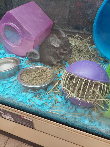 Pet Supply Store «PetSmart», reviews and photos, 2510 Berryhill Rd, Montgomery, AL 36117, USA