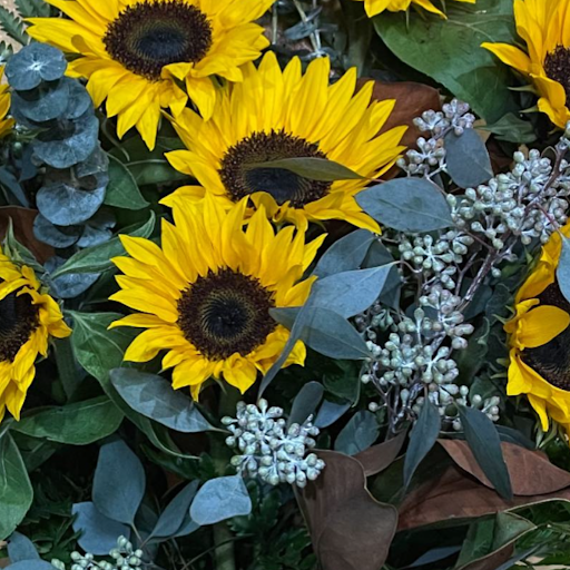 Florist «All Occasion Florist», reviews and photos, 617 Willow Ave, Hoboken, NJ 07030, USA