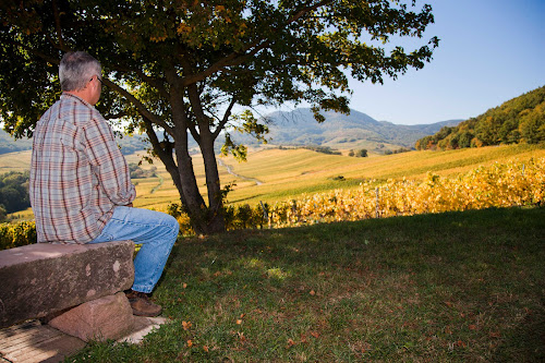 Vins d'Alsace Armand Landmann à Nothalten