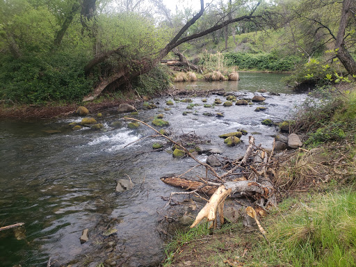 Nature Preserve «UC Davis - Stebbins Cold Canyon Natural Reserve», reviews and photos, CA-128, Winters, CA 95694, USA