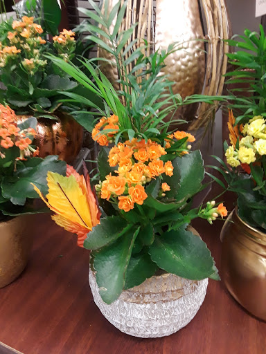 Grocery Store «ACME Markets», reviews and photos, 2007 NJ-35, Wall Township, NJ 07719, USA