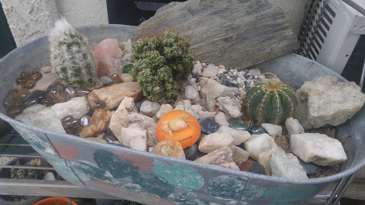 Donut Shop «Best Donuts In Town», reviews and photos, 2080 Mill St, Reno, NV 89502, USA