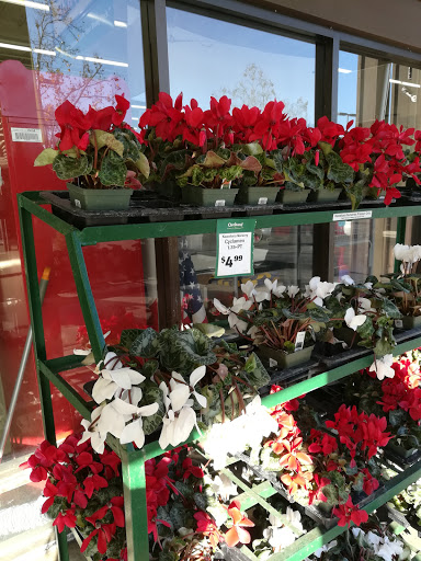 Hardware Store «Orchard Supply Hardware», reviews and photos, 5365 Prospect Rd, San Jose, CA 95129, USA