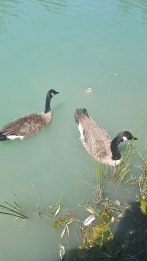 Park «St Clair Shores Park», reviews and photos, 20000 Stephens, St Clair Shores, MI 48080, USA