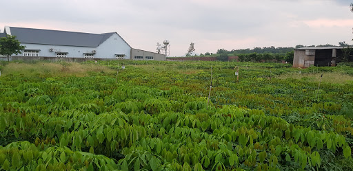 Top 20 cửa hàng online Huyện Phú Riềng Bình Phước 2022