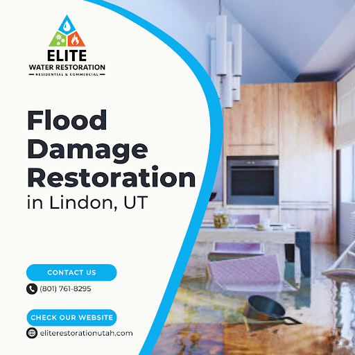 Storm Cleanup Lindon UT
