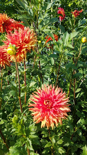 Market «Pybus Public Market», reviews and photos, 3 N Worthen St, Wenatchee, WA 98801, USA