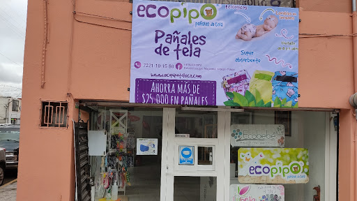 Pañales Ecopipo Tollocan Toluca-Metepec