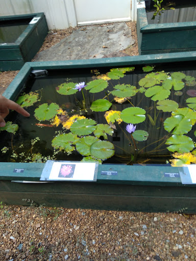 Aquarium «Tennessee Water Gardens», reviews and photos, 6410 Papermill Dr NW, Knoxville, TN 37919, USA